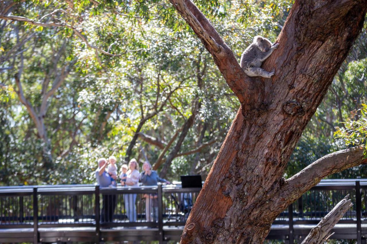 Hotel Port Stephens Koala Sanctuary One Mile Exterior foto