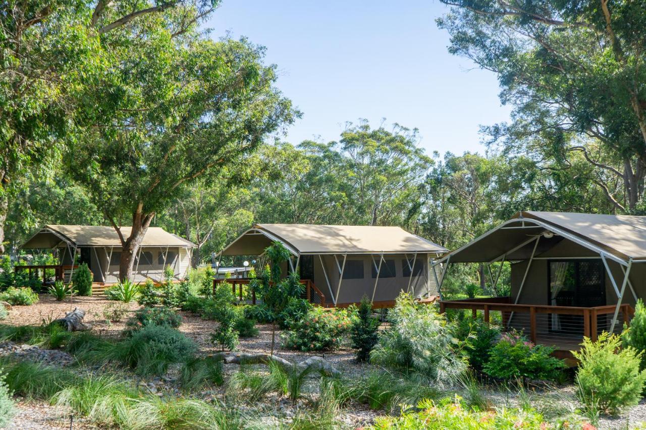 Hotel Port Stephens Koala Sanctuary One Mile Exterior foto