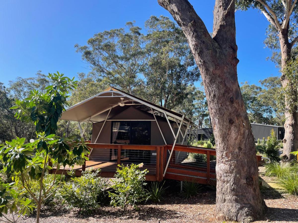 Hotel Port Stephens Koala Sanctuary One Mile Exterior foto